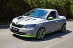 Skoda Fabia FUNstar Pikup 2015 года